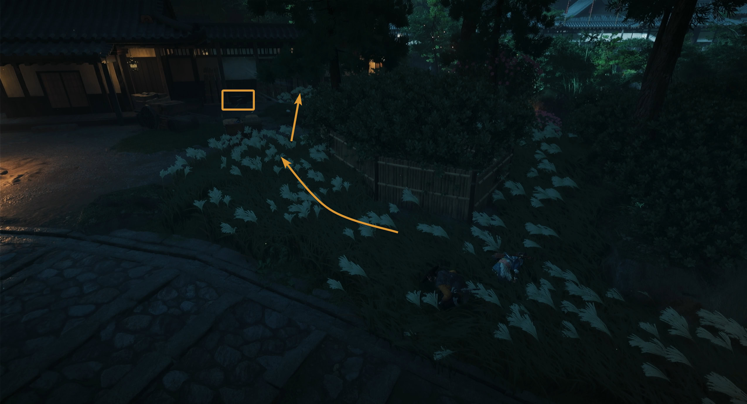 Stay to the right in the tall grass guest houses