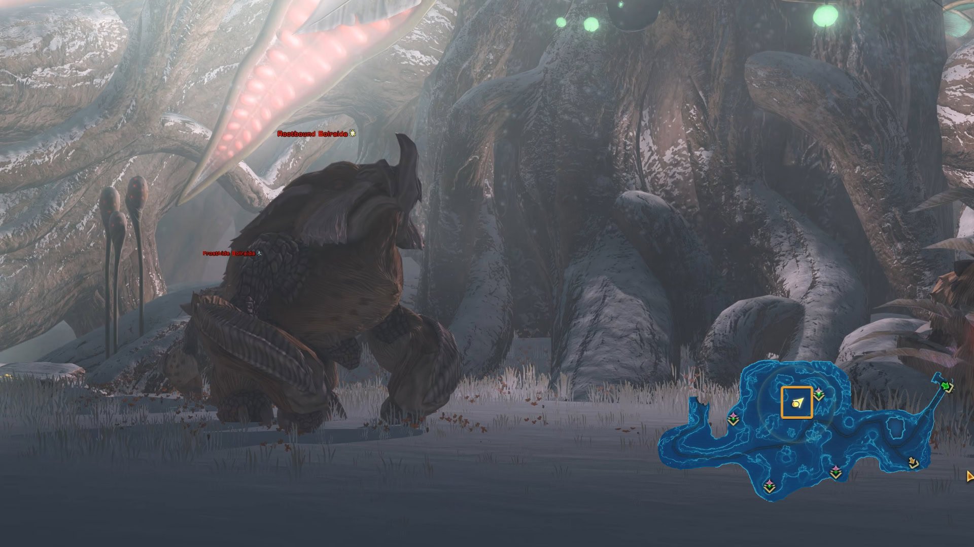 Frosthide Bolraida and the mini boss Rootbund Bolraida - Map and Preview