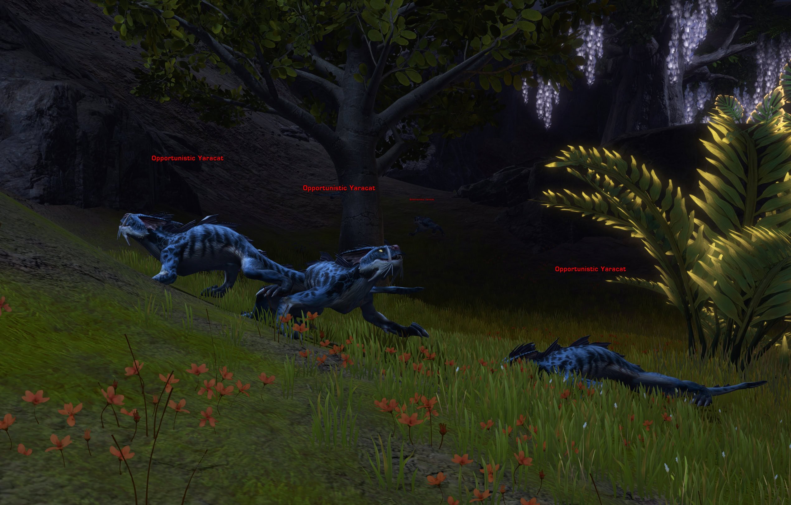 Opportunistic Yaracats