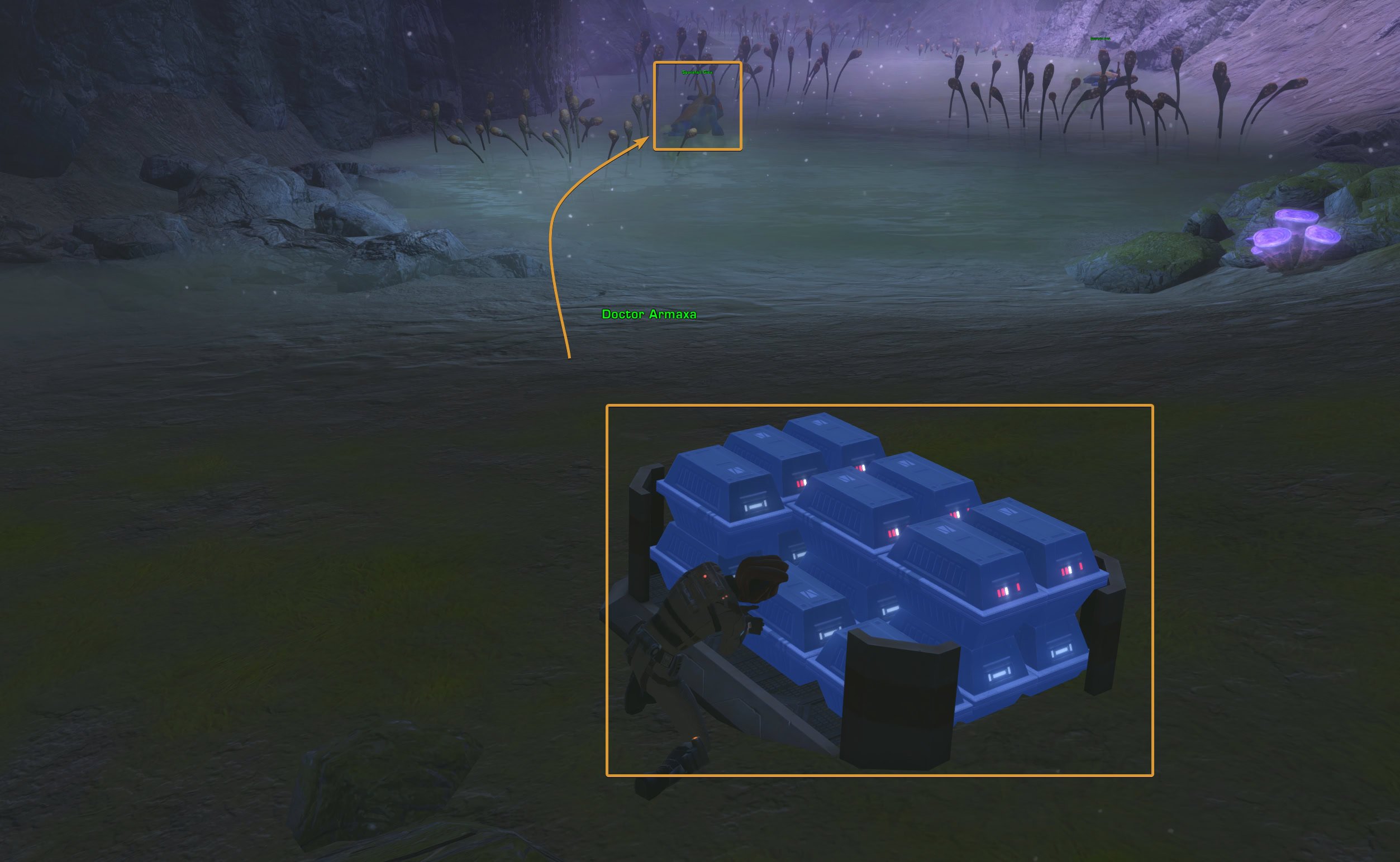 Sample Collection Ginx Preview