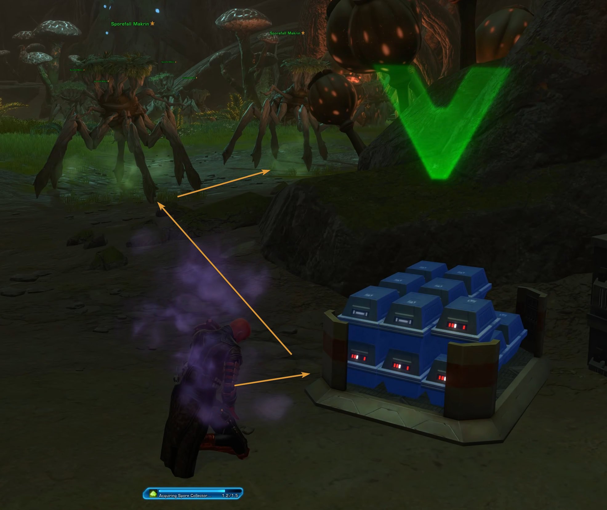 Sample Collection Makrin