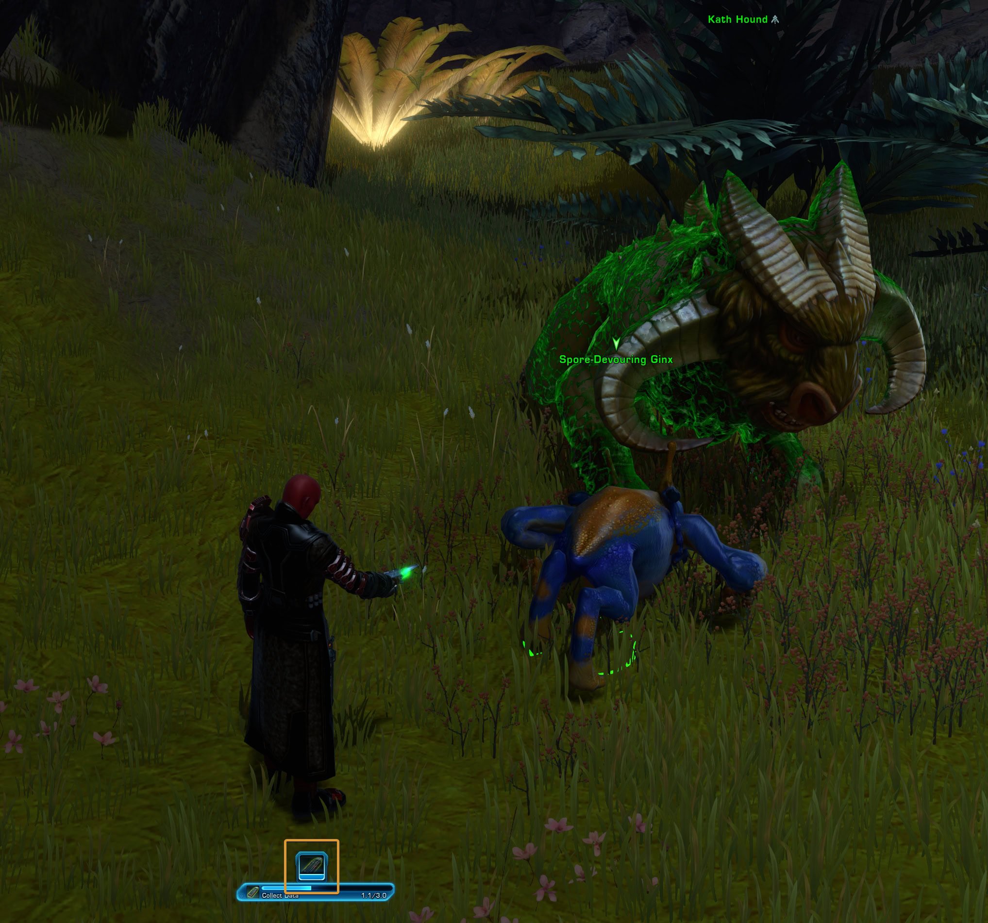 Scan the Ginx or Kath Hounds