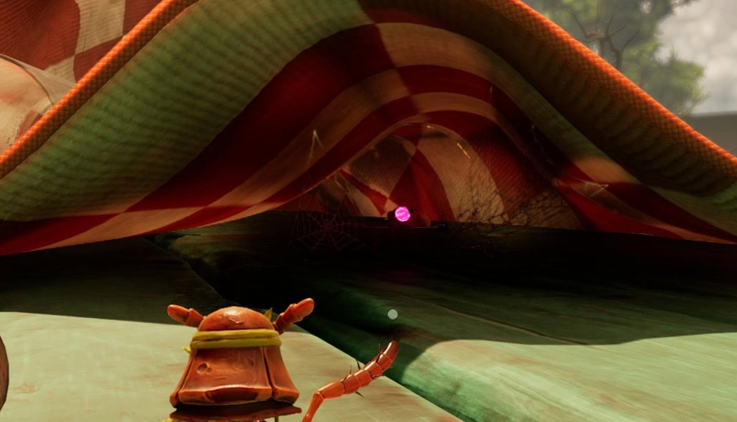 Picnic Table Path Under the Cloth