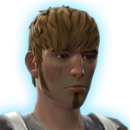 Torian Icon Class Story