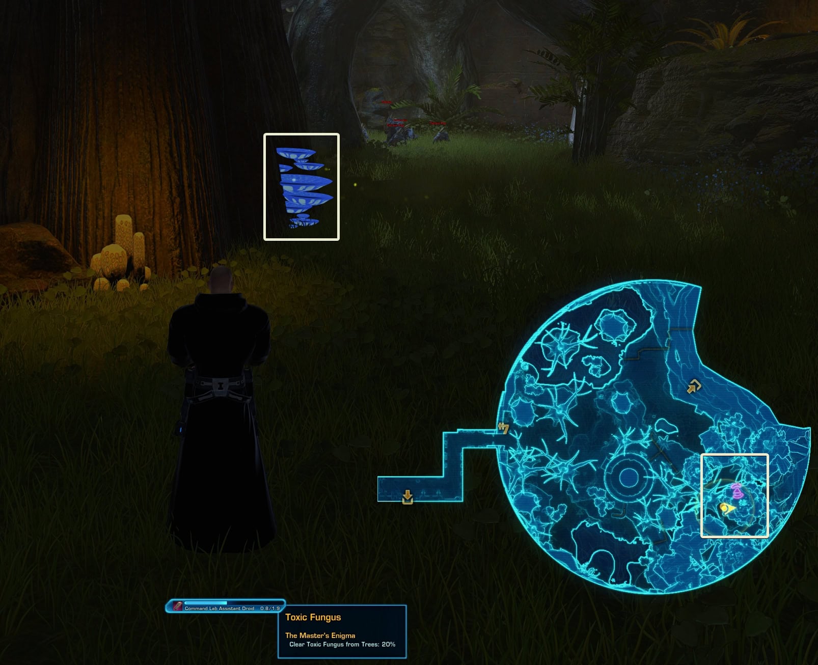 Clear Toxic Fungus from Trees