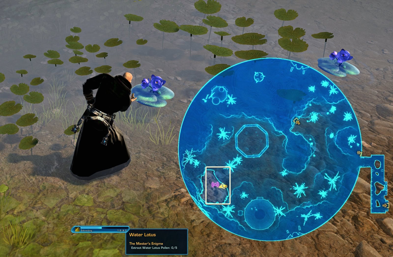 Look for a Way to Heal the Guardian Beasts