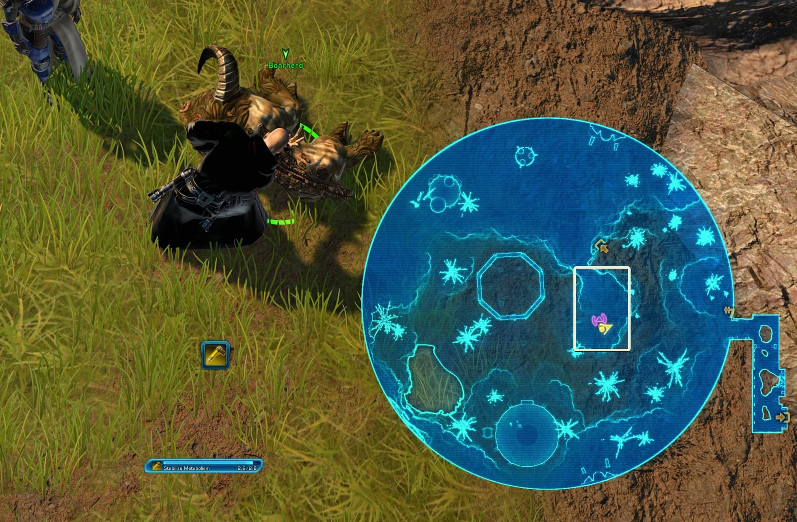 Treat the Guardian Beasts