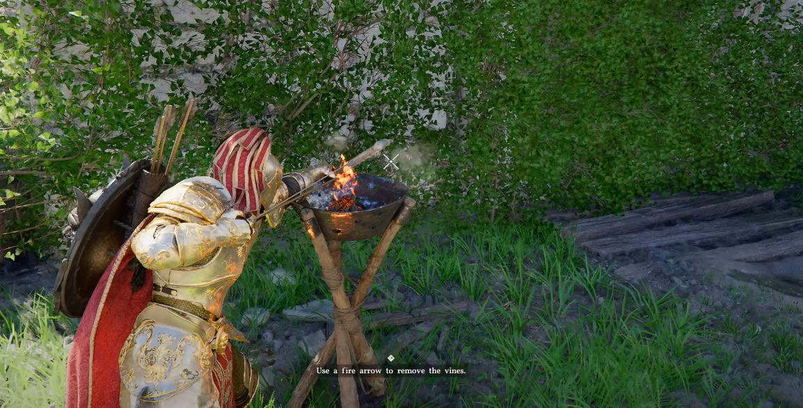 Unexpected gift burn the vines