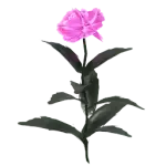 Peony Icon