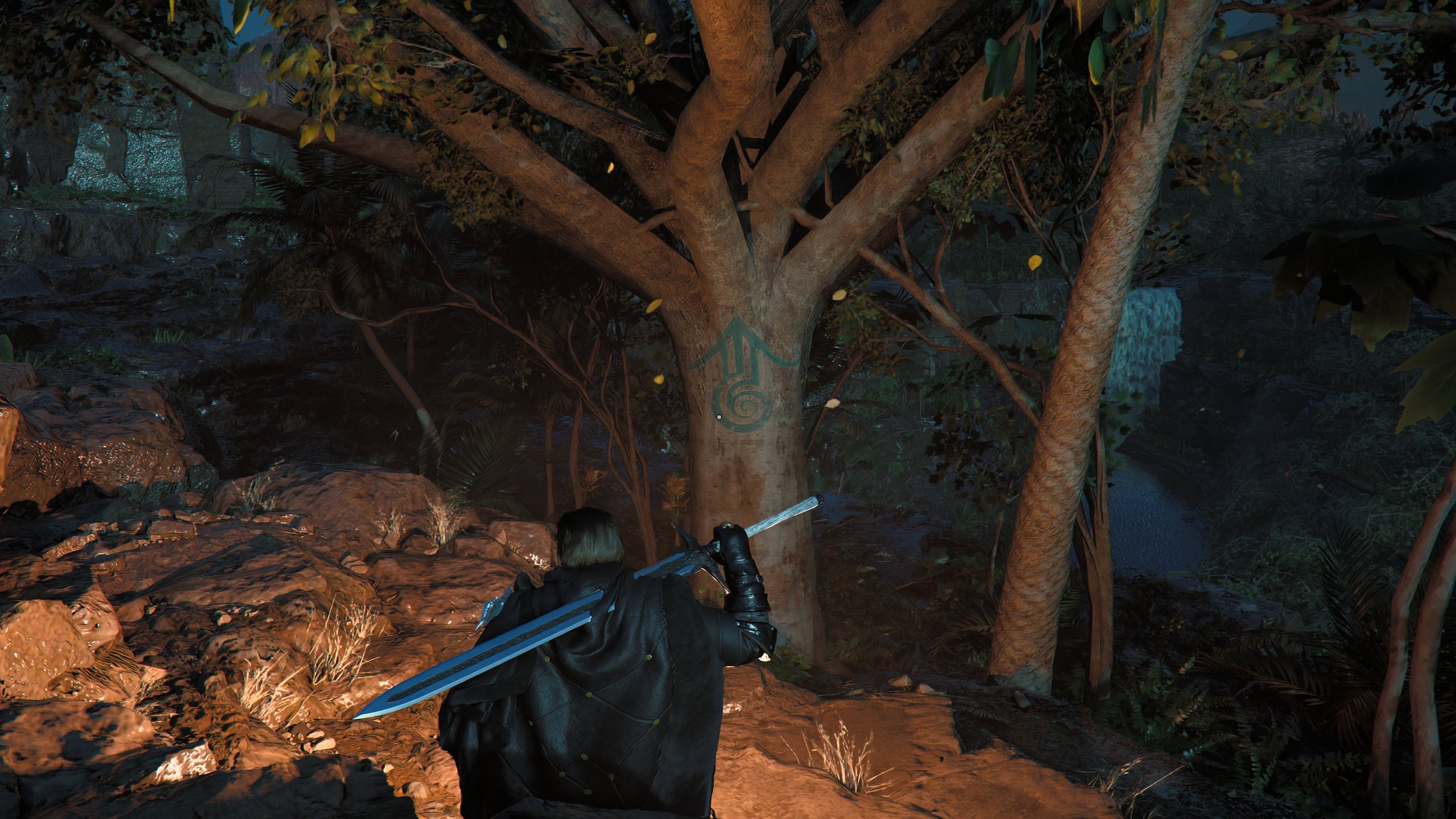 What the symbols look like, painted on trees