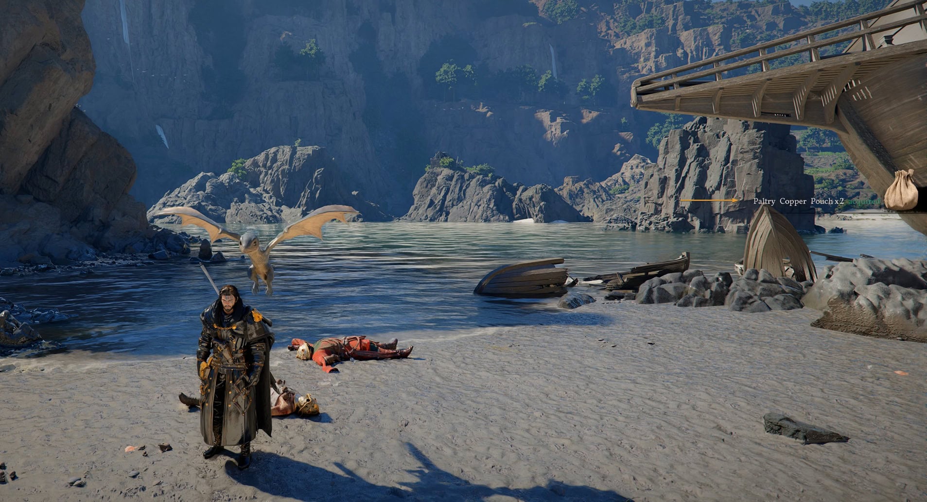 Baby Wyvern looting bodies