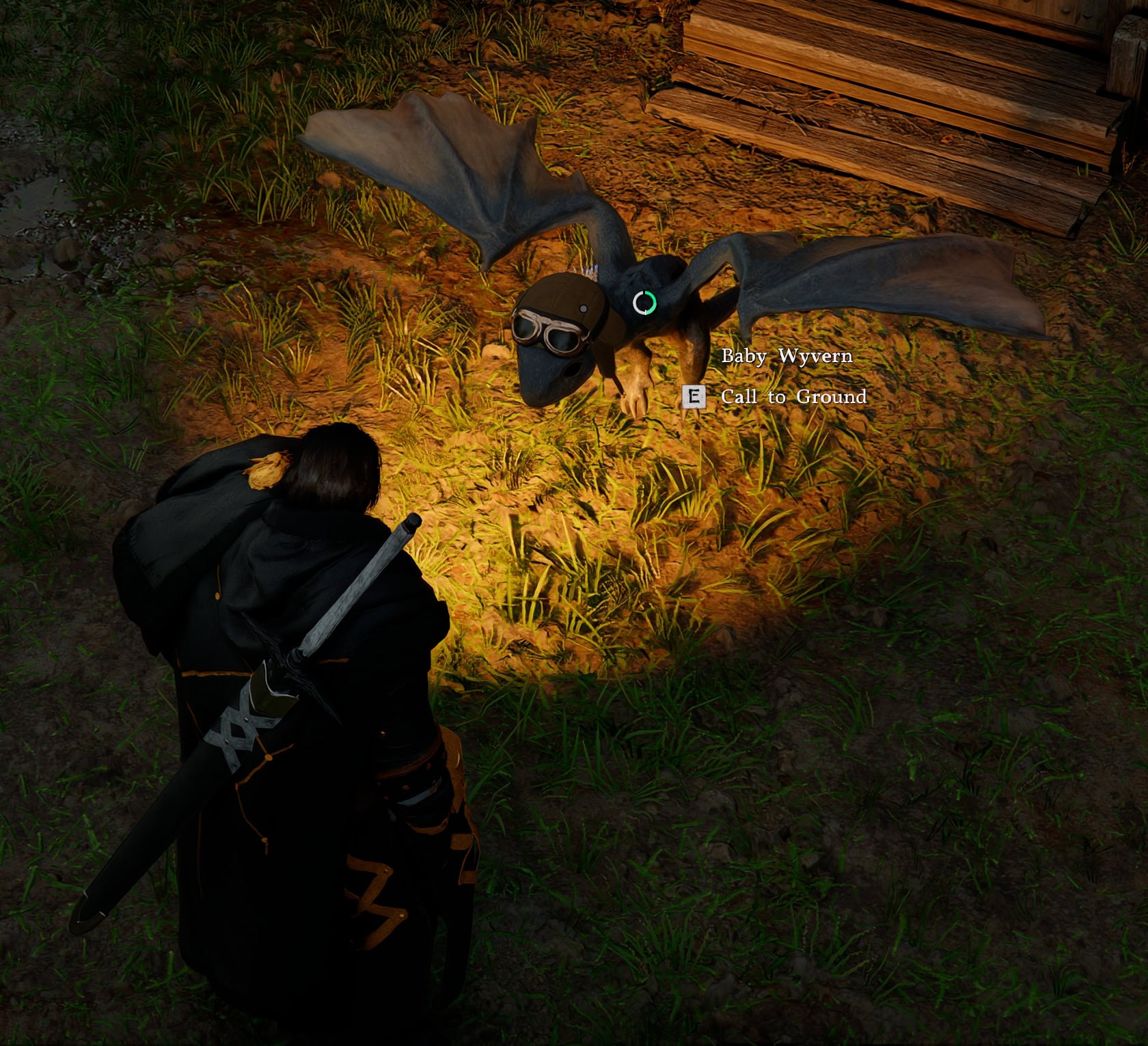 Call Pet to Ground