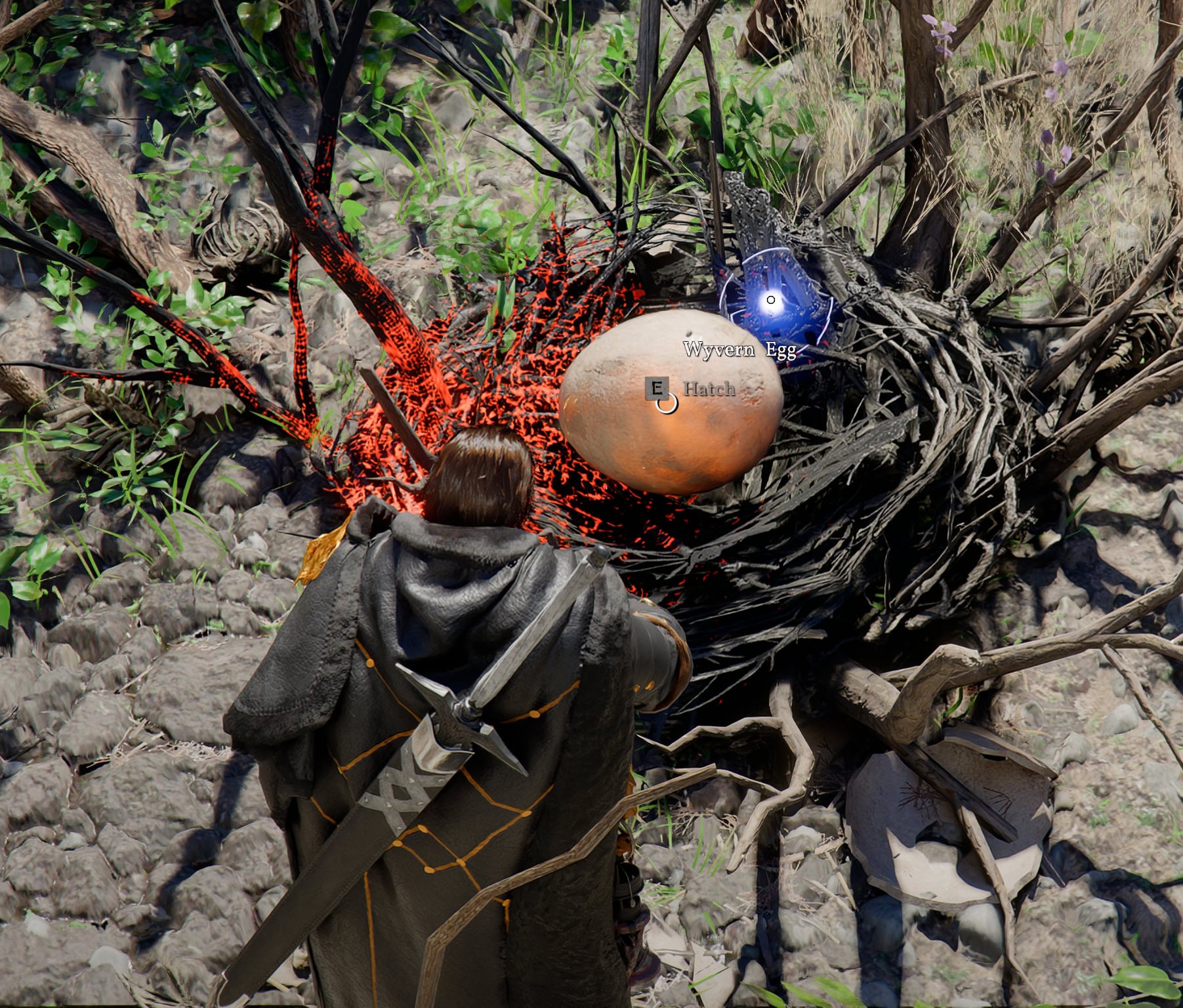 Hatching the Baby Wyvern from the Egg
