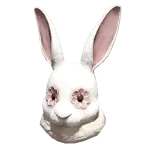 Rabbit Leather Mask Icon