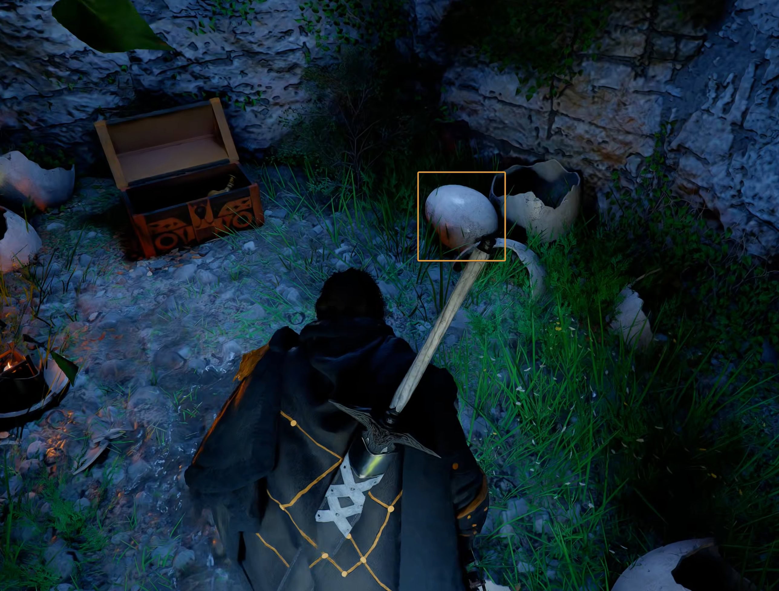 The Baby Wyvern Egg
