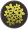 Yellow Dye Tab Icon