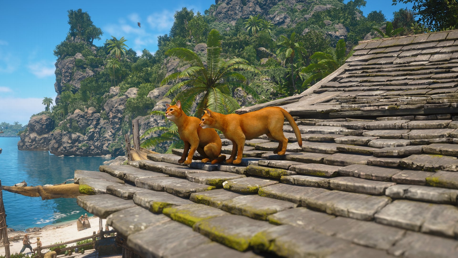 Friendly Animals Locations and Friend to All Achievement in Assassin’s Creed Black Flag Resynced