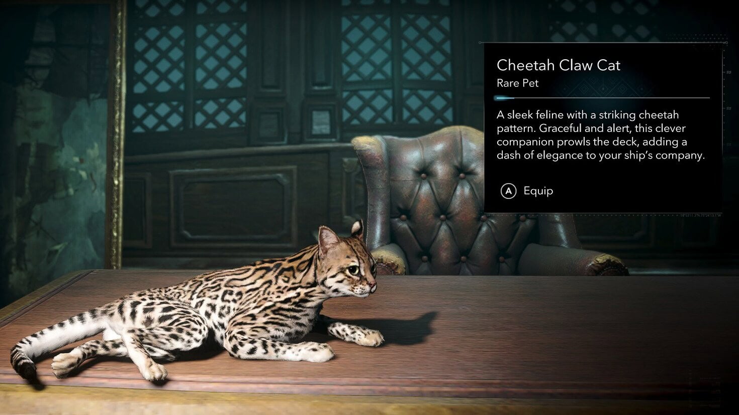 Ship Pets Cheetah Claw Cat