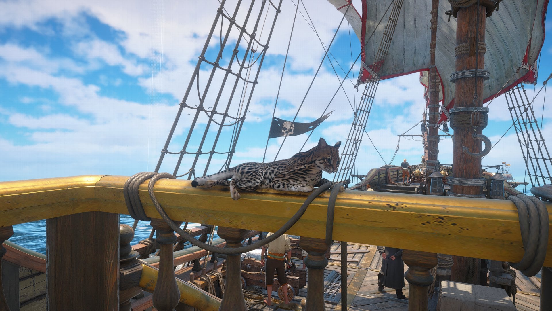 All Ship Pets in Assassin’s Creed Black Flag Resynced