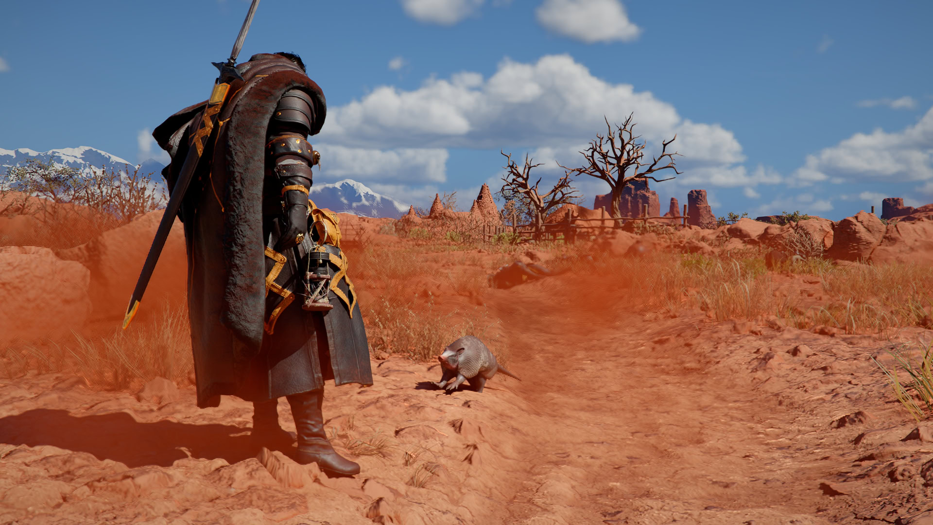 Armadillo Preview