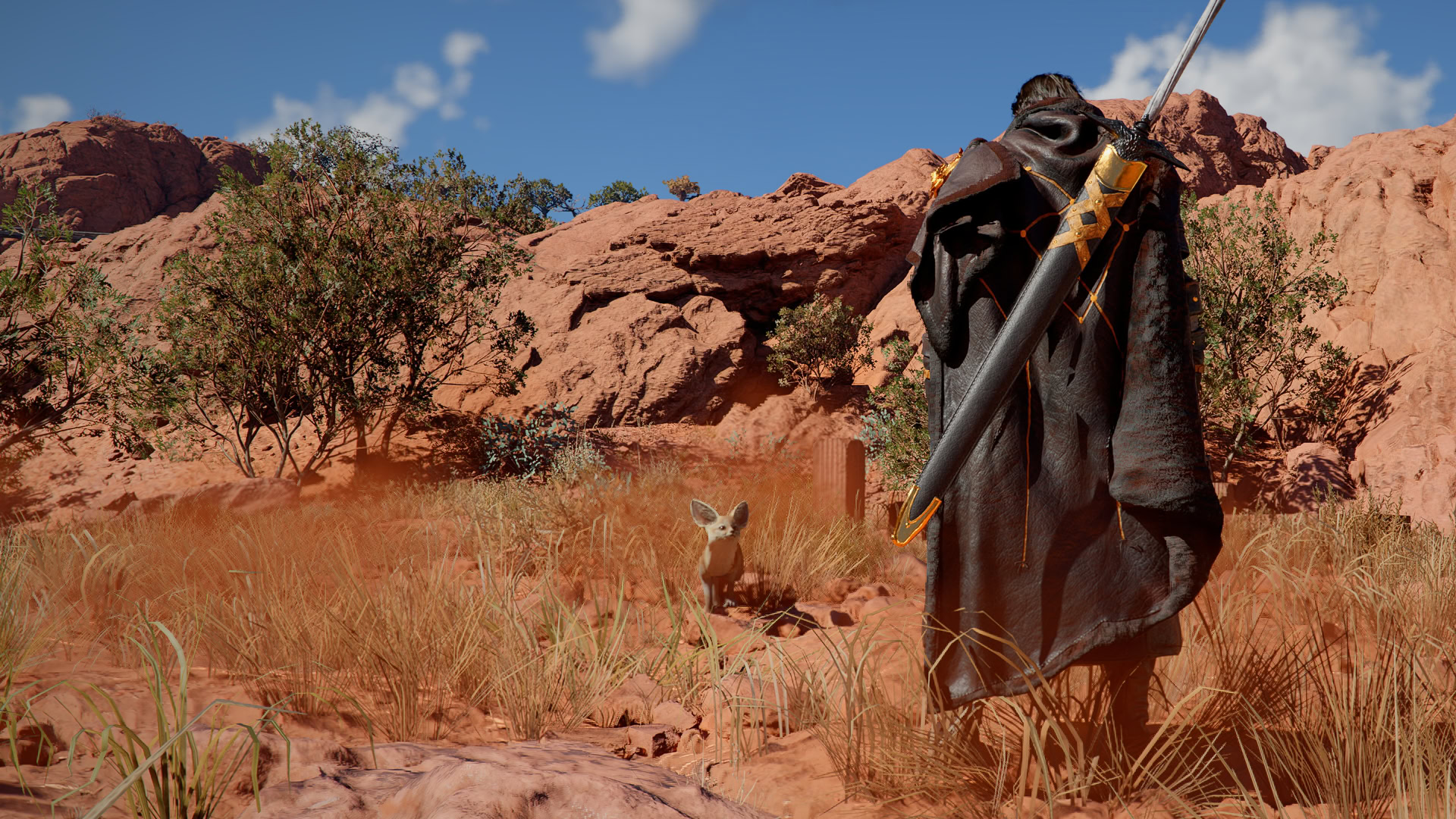 Desert Fox Pet Preview