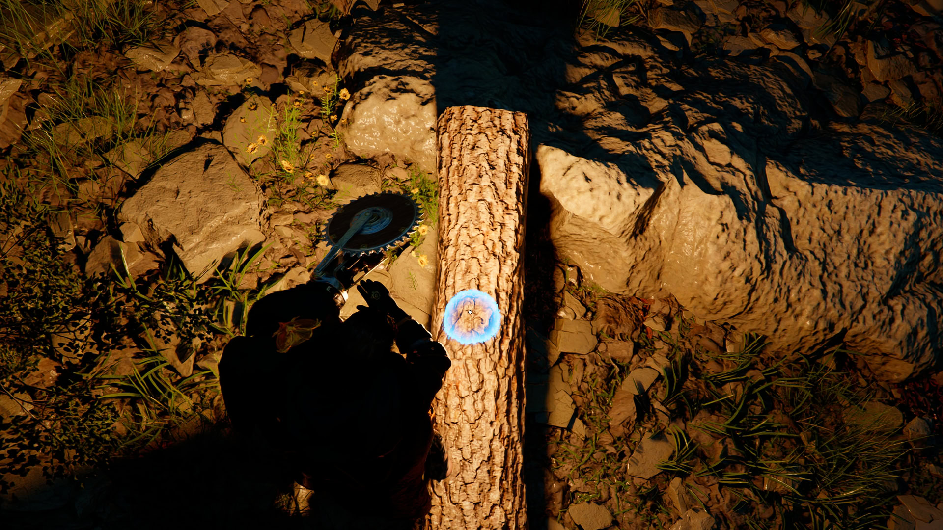 Splitting logs in Crimson Desert