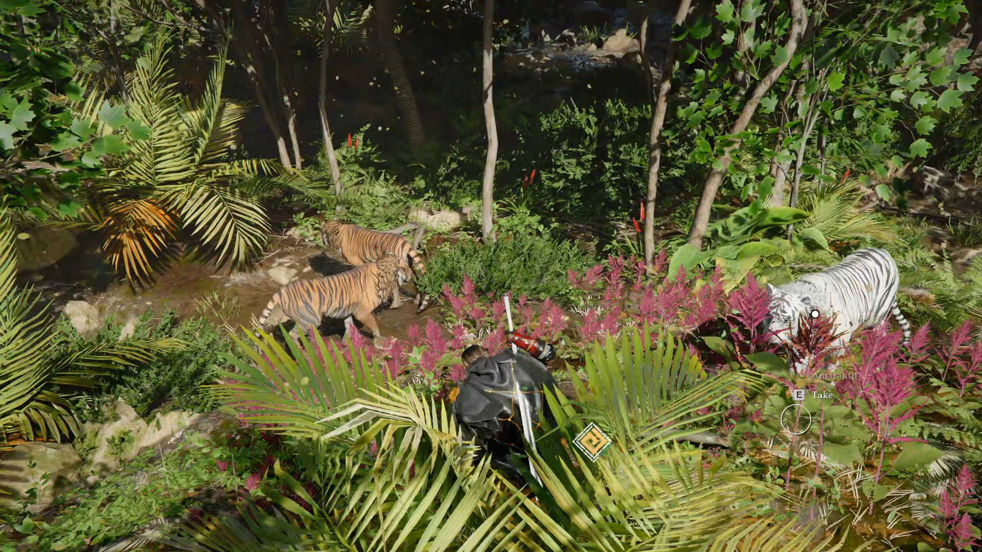 Tigers Location