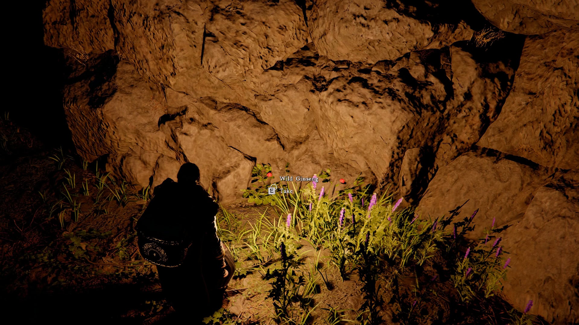 Wild Ginseng Farm 2