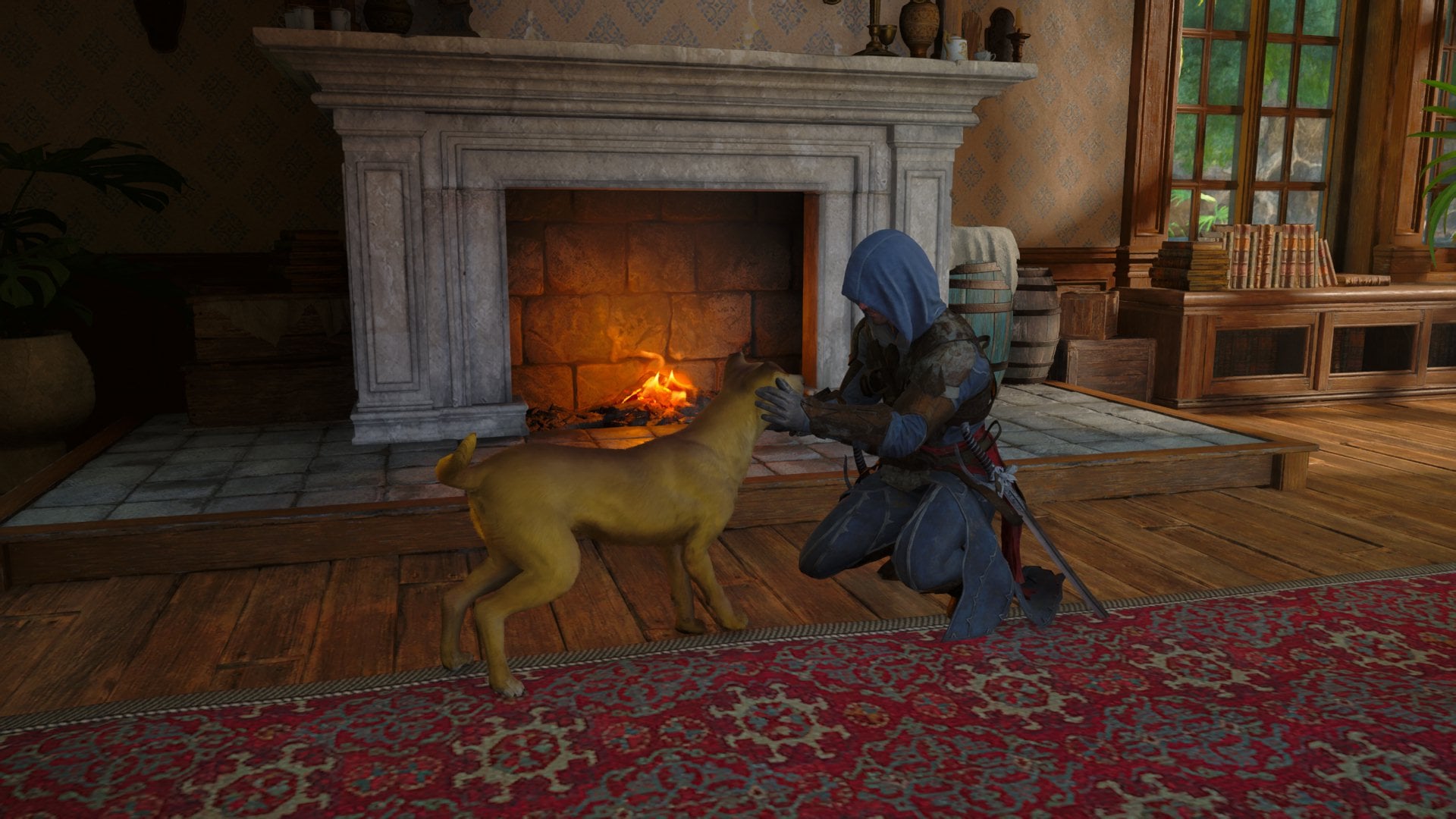 How to Rescue the Stranded Dog in Assassin’s Creed Black Flag Resynced