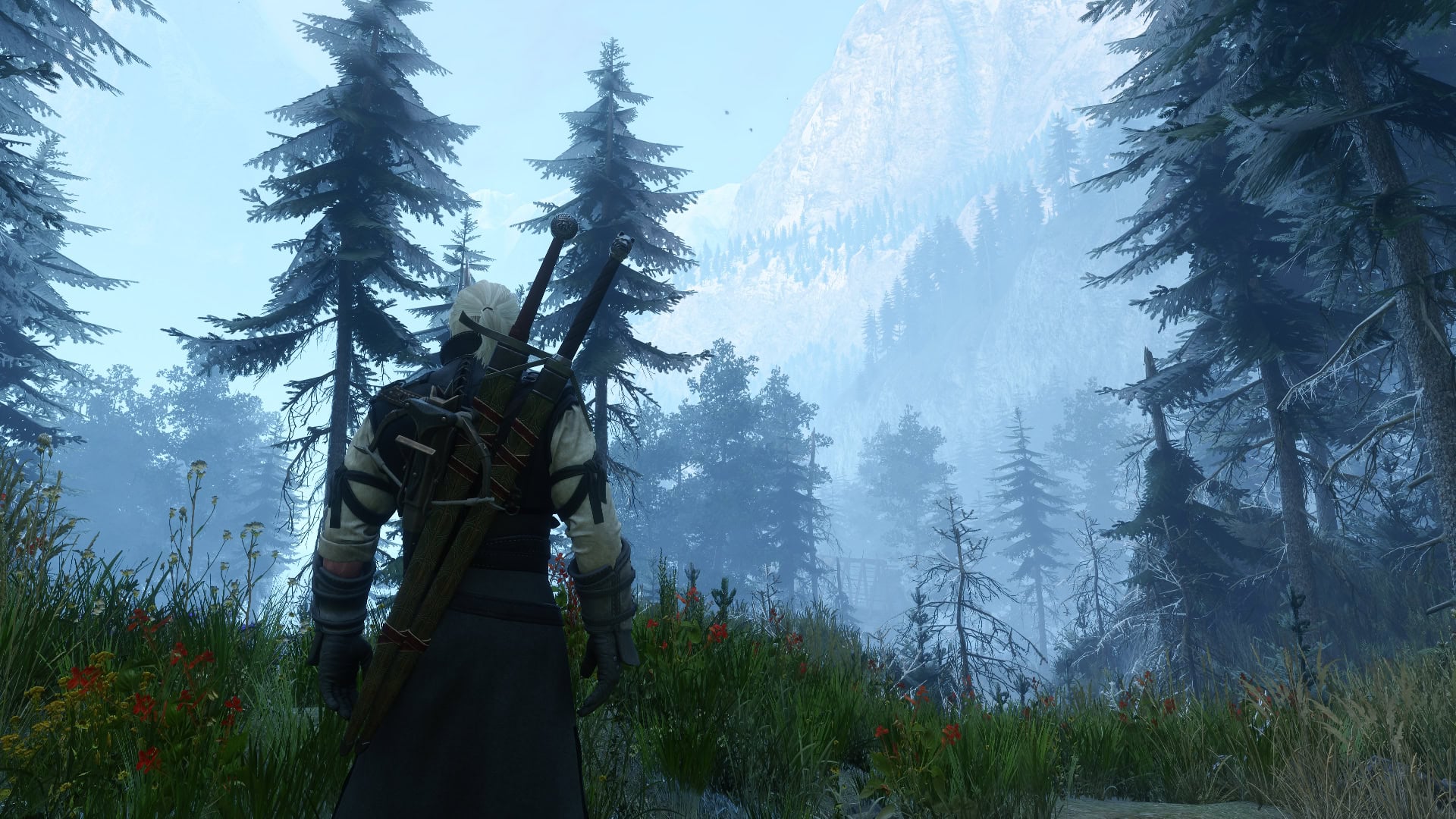 The Witcher 3 Remaster beautiful scenery in the forest