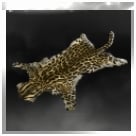 Ocelot Pelt