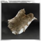 Rabbit Pelt