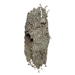 Lifsoth Large Shield