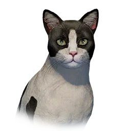 Bicolor