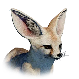 Desert Fox