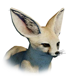 Desert Fox