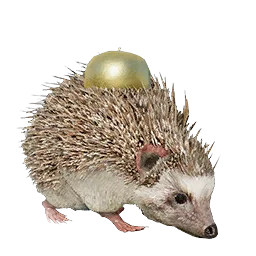 Golden Apple