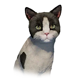 Bicolor