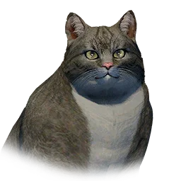 Loafy Cat
