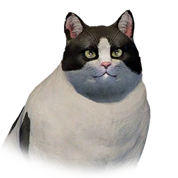 Bicolor