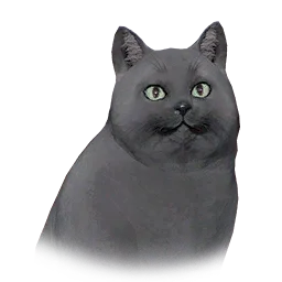 Loafy Cat
