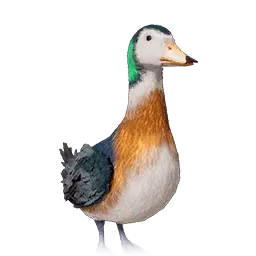 Small Teal