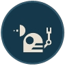 Vulkk V Icon