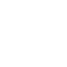 Vulkk V Icon